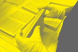 illustration de l'article